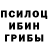 Героин хмурый Attache Kastra
