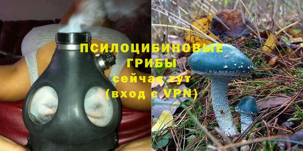 PSILOCYBIN Вяземский