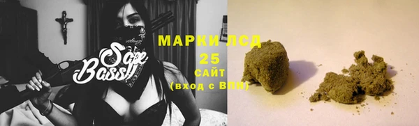 PSILOCYBIN Вяземский