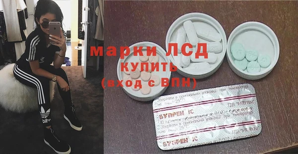 PSILOCYBIN Вяземский