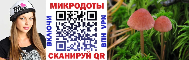 Галлюциногенные грибы MAGIC MUSHROOMS  Купить  Приволжск 